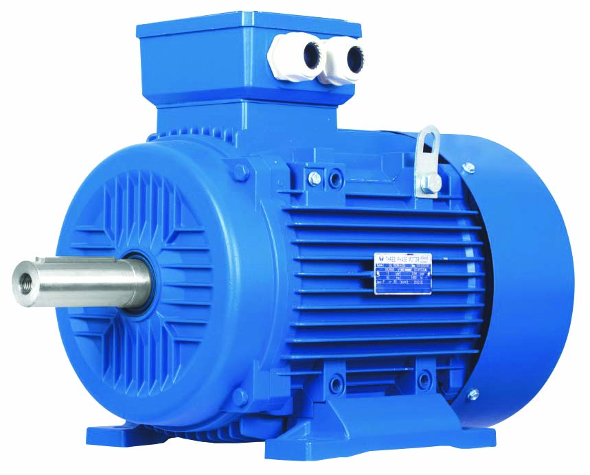 Τριφασικός ηλεκτροκινητήρας IE1-CI-132S1-2 (2900RPM)